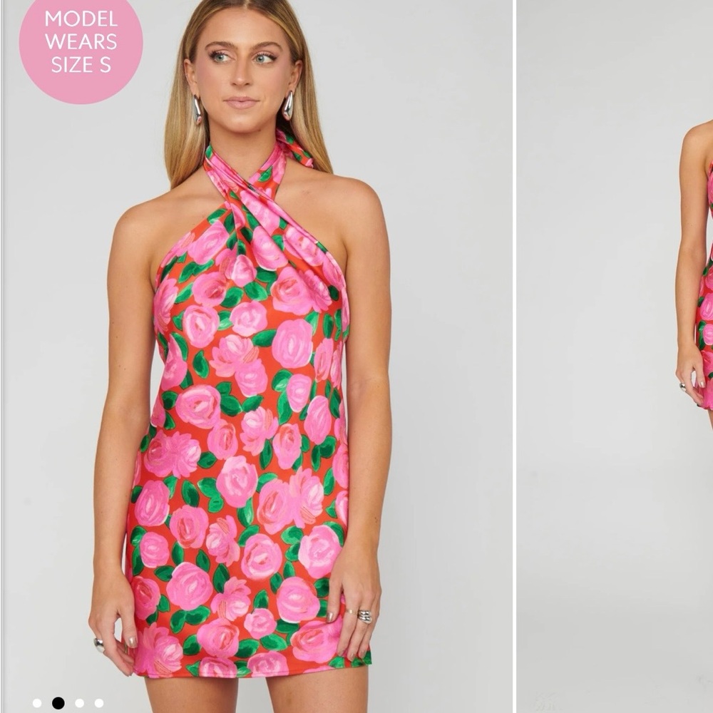 Show Me Your MuMu Pink and Green Floral Mini Dress